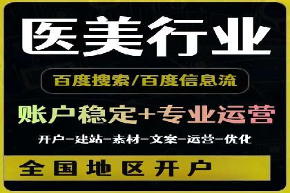 谷歌竞价广告与SEO结合的营销案例解析